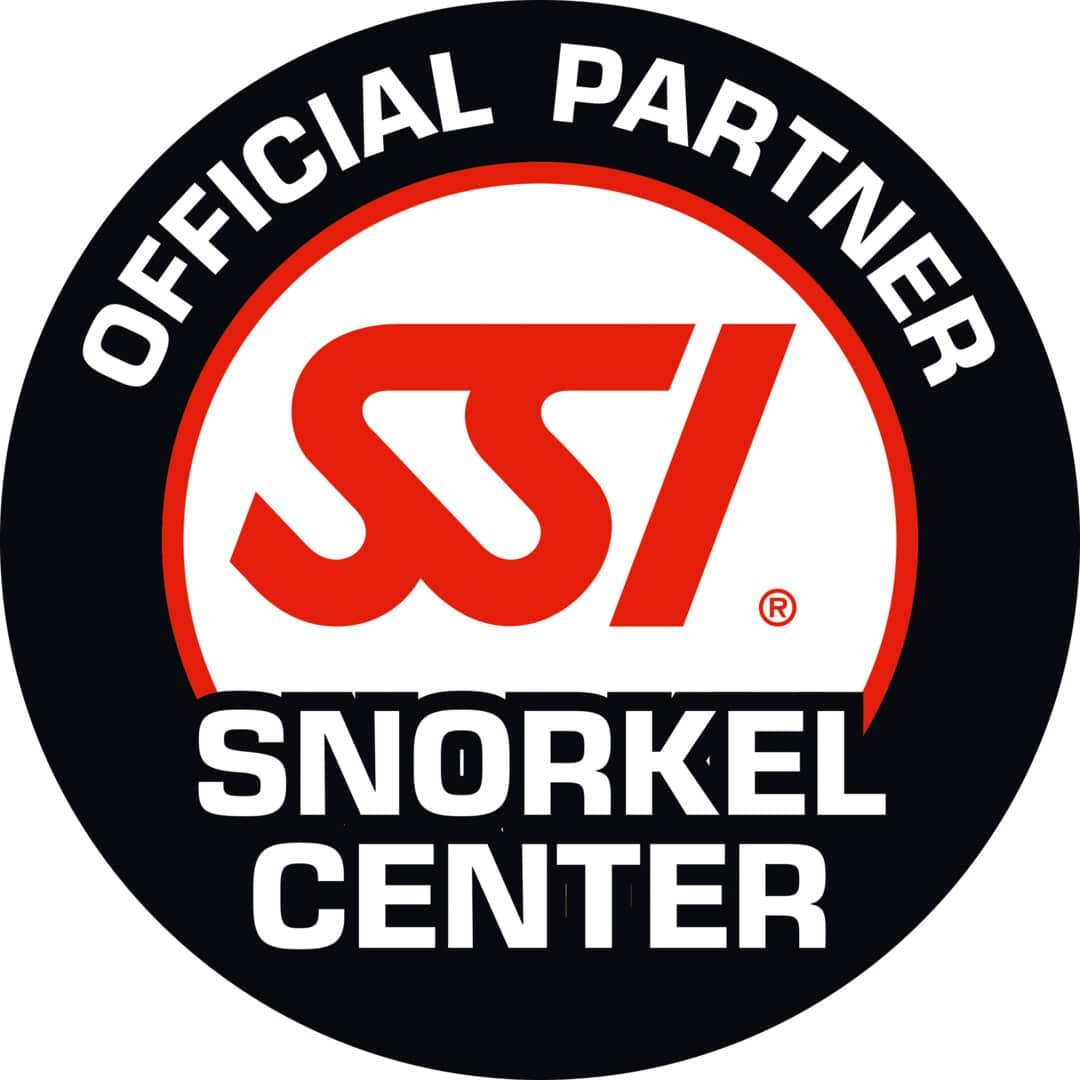 Presentation-Snorkel-Center